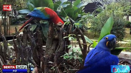 5 Jenis Hewan Termahal di Dunia