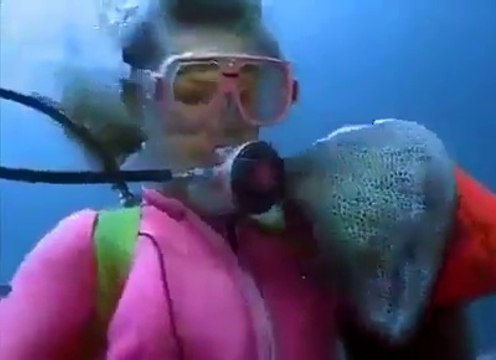 Quand ton meilleur ami est une murène énorme.