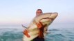 Ce touriste prend un requin à la main et le sort de l'eau... Dangereux!
