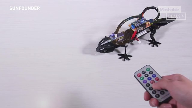 Build your own pet with this DIY robotic lizard