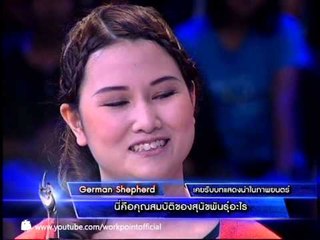 แฟนพันธุ์แท้ 2013 21 มิ.ย. 56 (คนรักหมา)