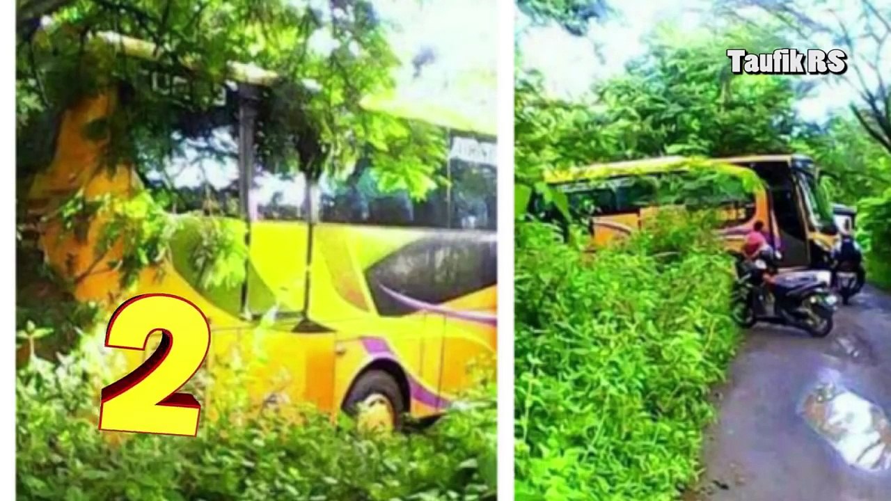 3 BUS Nyasar Masuk Hutan Blora Jawa Tengah