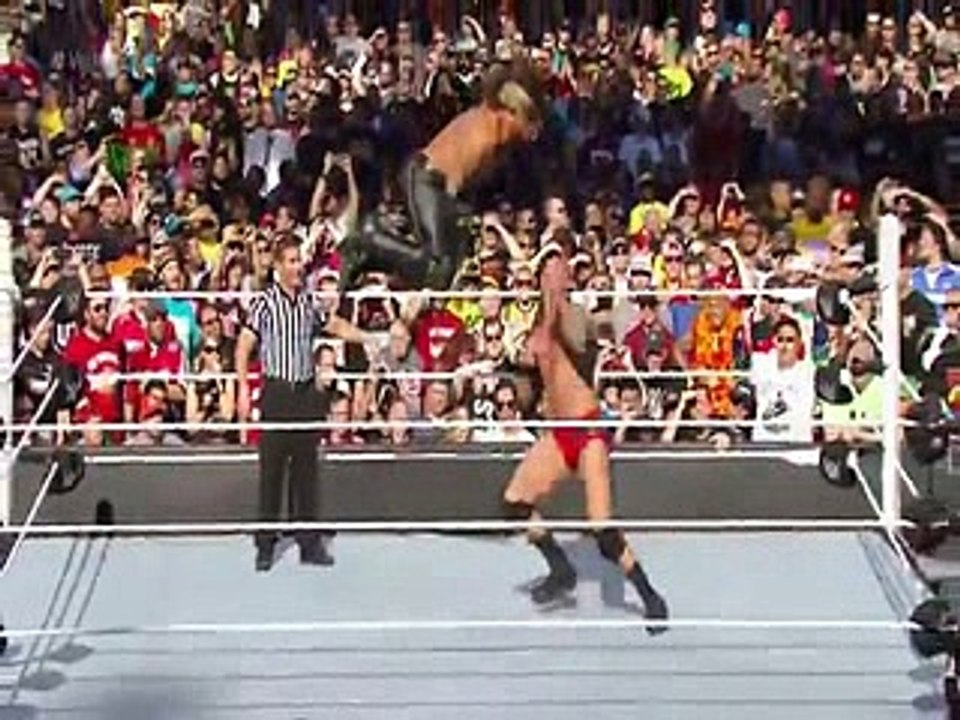 WWE Top Ten Finishers