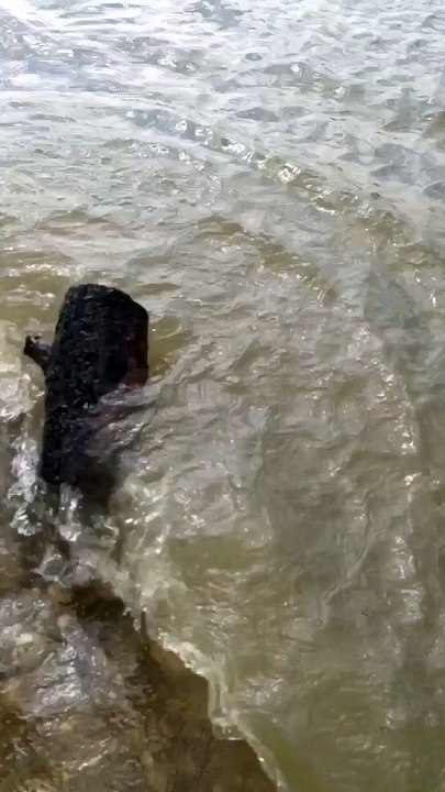 KaiD-Land#'s  [4074] it refused to collide -- it refused to collapse ..