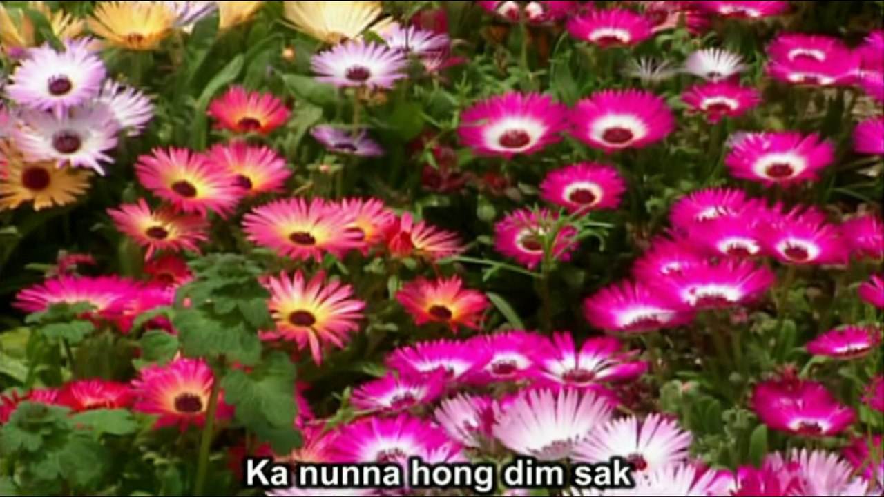 Zaang Kuam Unok Paak