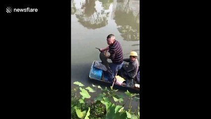 Villager catches one-meter-long crocodile on riverbank