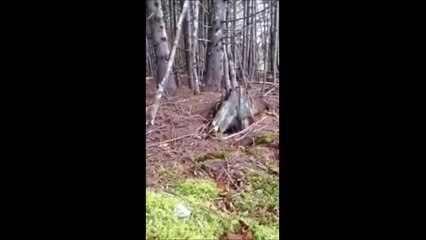 Los Videos mas Raros del Mundo 1 Videos Virales