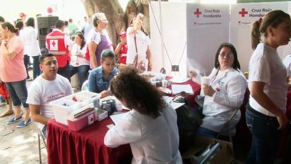 Abastecidos de sangre los principales hospitales públicos