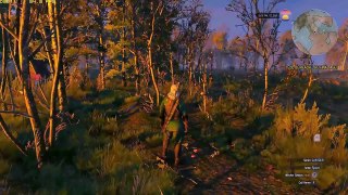 The Witcher 3 BAD ENDING | Final - Ciri Dies, Geralt Kills The Last Crone (Bad & Sad Ending)
