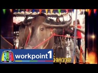 แฟนพันธุ์แท้ 2014_13 มิ.ย. 57 (ประเพณีไทย)