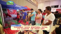 ALAGANG MAGALING S9 EP5 - KANNAWIDAN ILOCOS BICENTENIAL FESTIVAL 4TH GAMEFOWL AND PIGEON EXPO
