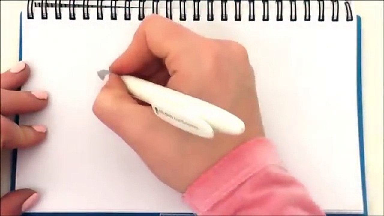 Draw My Life TAG ♥