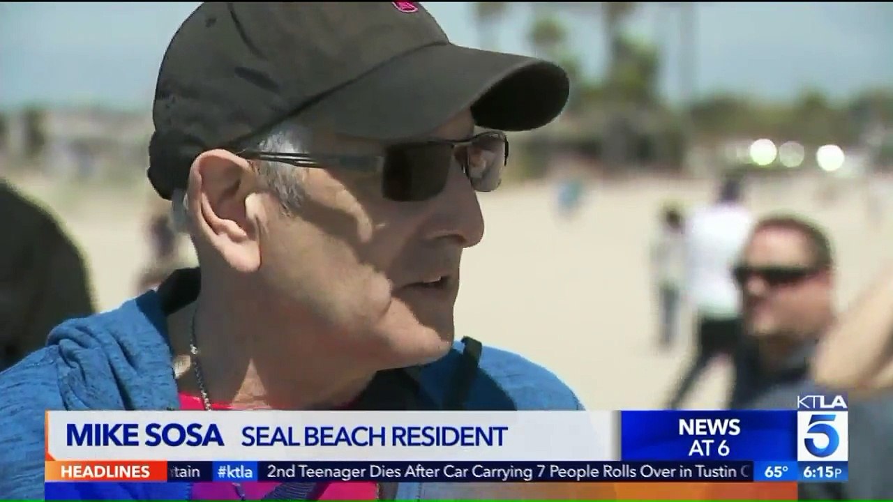 Two Whales Swimming Along Southern California Shore Draw Crowd of Spectators