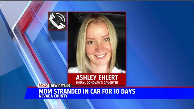 Missing Nurse Survived Ten Days Stranded in Car