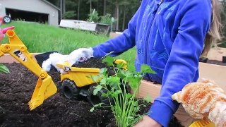 Toy Trucks Plant Organic Garden for Children