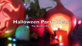 4 Halloween Party Ideas For Guinea Pigs