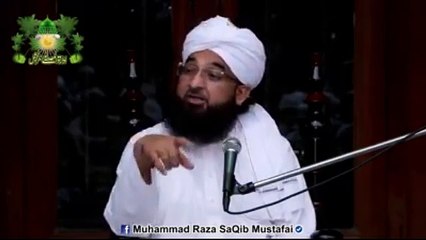 Muhammad Raza Saqib Mustafai (88)