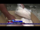 Petugas Berhasil Amankan 28 Ton Ikan Patin Beku Ilegal - NET24