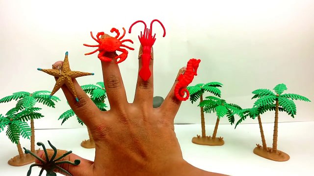 Learn Names Of Sea Animals/Finger Family Nursery rhyme/kids Learning With Shark Whale Toys
