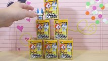 Yo-Kai Watch Blind Boxes! Yo-Kai Cup Figures 妖怪ウォッチのプチットフィギュア My Kawaii Family