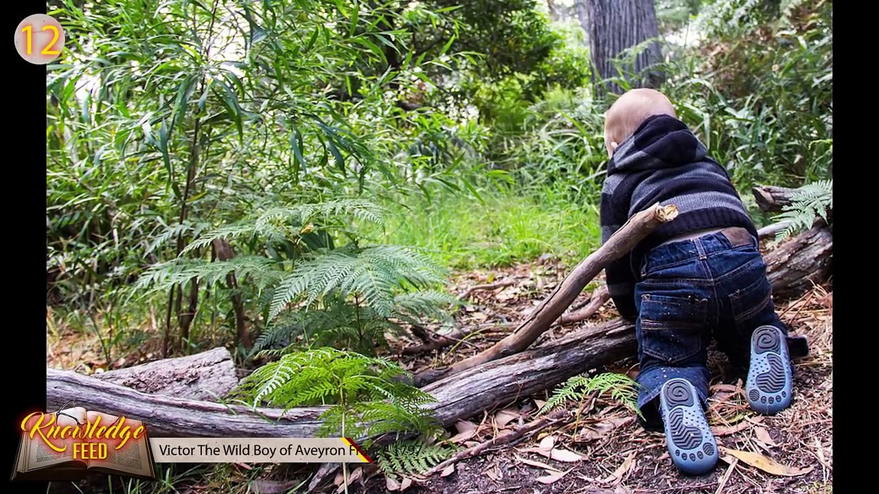 Shocking Stories of Children Raised by Animals