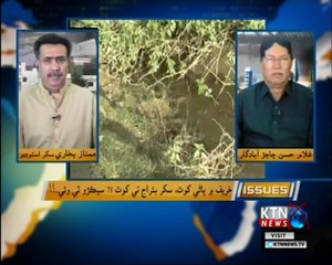 Issues - Mumtaz Bukhari - 26th March 2018