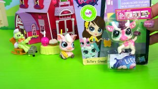 Littlest Pet Shop Unboxing at My Little Pony Sweet Apple Acres Barn Party Playset MLP Video