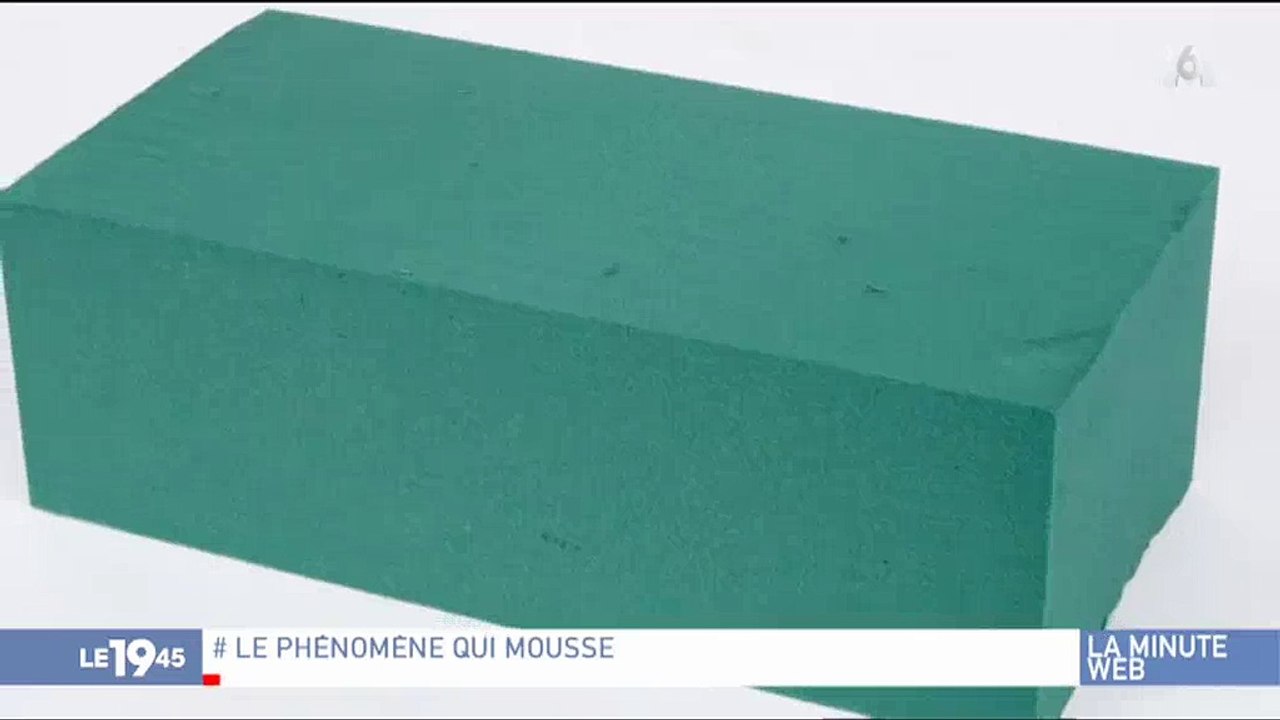 L'étonnante nouvelle tendance qui fait le buzz sur internet avec... de la mousse florale ! Regardez