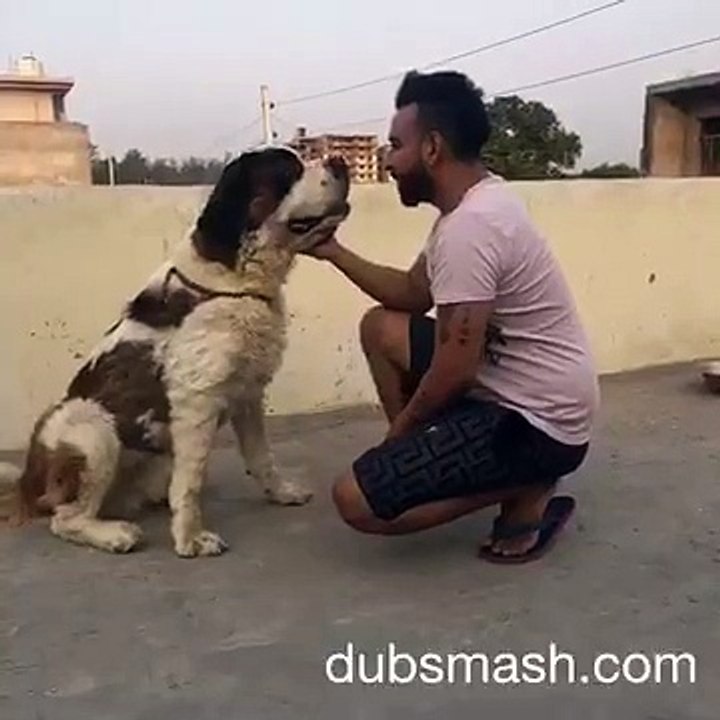funny dog and men indean movie dialogue