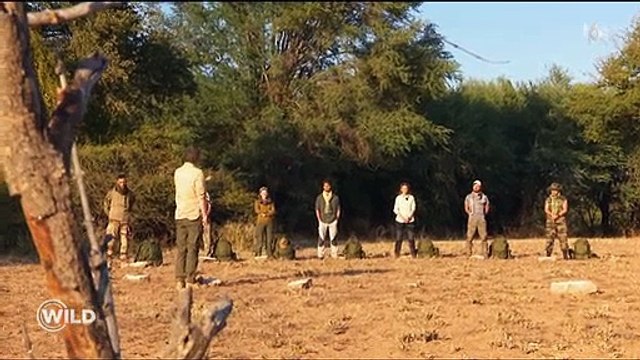 Voici le lancement de Wild, la course de survie le nouveau jeu d'aventure d'M6 lancé hier - Regardez