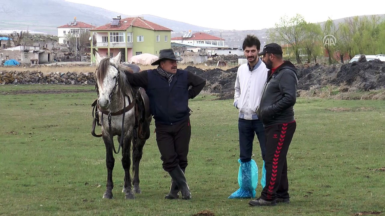 Yılkı atları fotoğrafçıların gözdesi oldu - KAYSERİ
