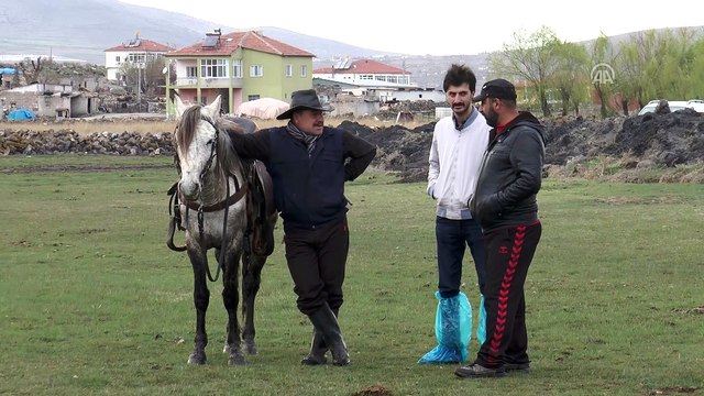 Yılkı atları fotoğrafçıların gözdesi oldu - KAYSERİ