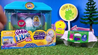 Little Live Pets Hatching Chick Eggs and Smiggle Golden Easter Egg