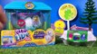 Little Live Pets Hatching Chick Eggs and Smiggle Golden Easter Egg