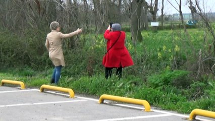 7 bin kilometre yol kat ederek Leylek Ormanı'na geldiler...Leylek Ormanı havadan görüntülendi