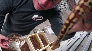 UNBOXING SOME INSANE SNAKES! Brian Barczyk