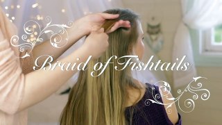Braid of fishtails