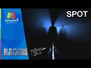 Bao Young Blood แมว จิรศักดิ์ ปานพุ่ม, พลพล พลกองเส็ง, เขียว คาราบาว (Spot)