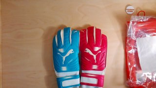 Puma evoPower Grip 2 Gunn Cut Goalkeeper Gloves Preview