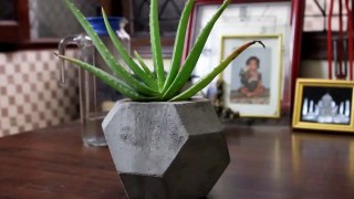 How To DIY Cement Planter