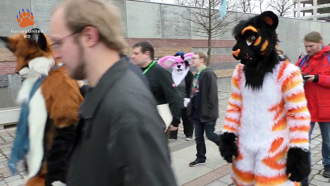 Nordic Furdance 8 mit Suitwalk (Hamburg 2018) #NFD8