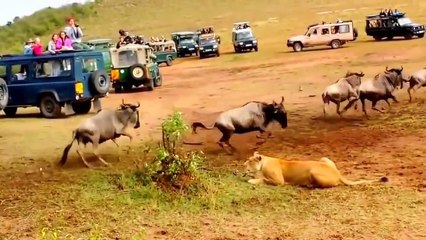 That´s why he is called the KING!