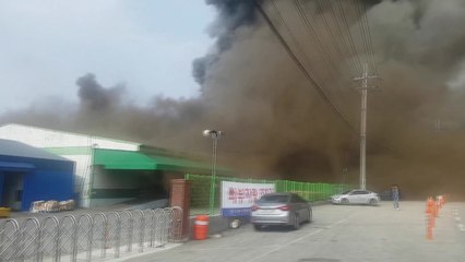 용인 식자재 물류센터서 화재...3시간만에 진화 / YTN