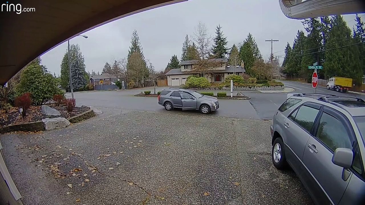 what a brave thief driver  -Package Thief Caught in the Act -- ViralHog