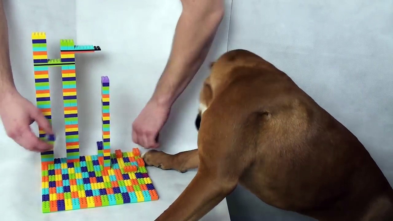 Lego Misty Dog Snack Machine Slide by Misty Brick.