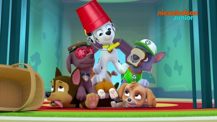 Paw Patrol : la Pat'Patrouille | Les feux d'artifice | NICKELODEON JUNIOR