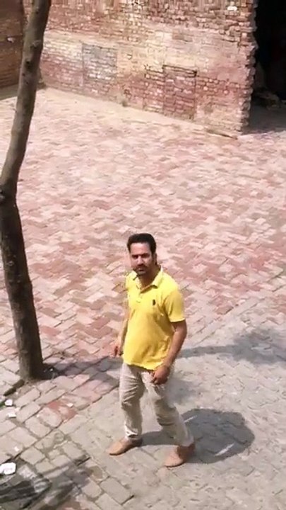 funny videos 2018 most