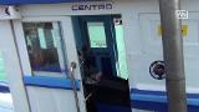 Whale shark sighting suprises Thai fishermen