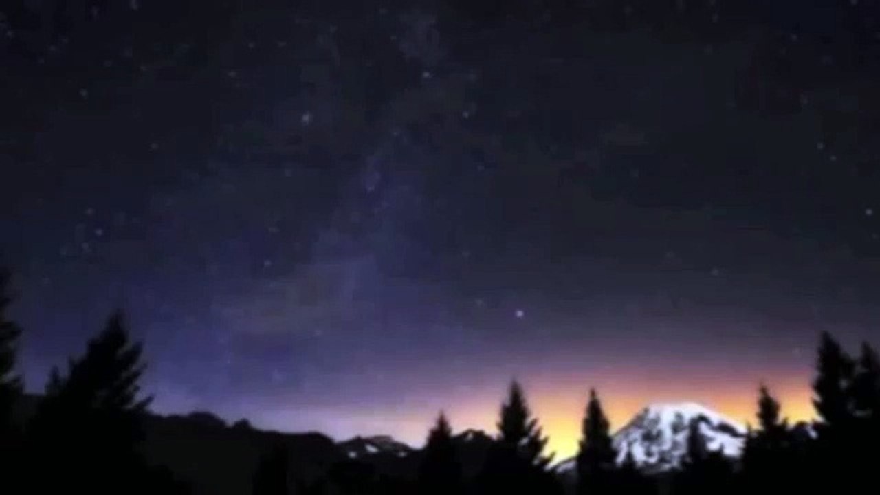 Forest Night Time Sounds (Crickets, Owls, Birds) - Relaxation/Meditation