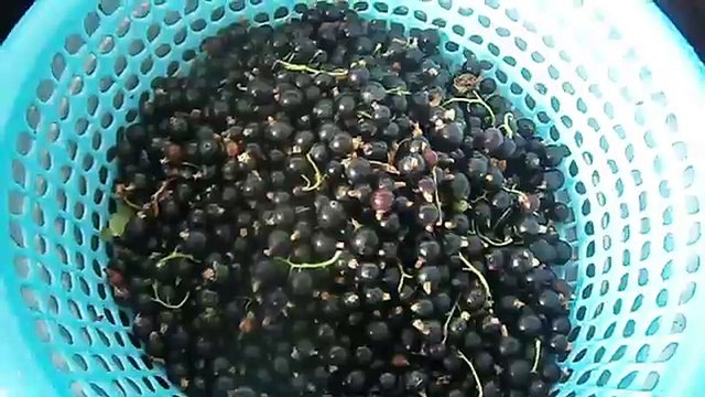 Варенье пятиминутка из чёрной смородины